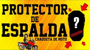 Chaqueta Moto Proteccion Espalda